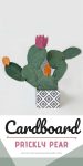 DIY Cardboard Prickly Pear Cactus Craft